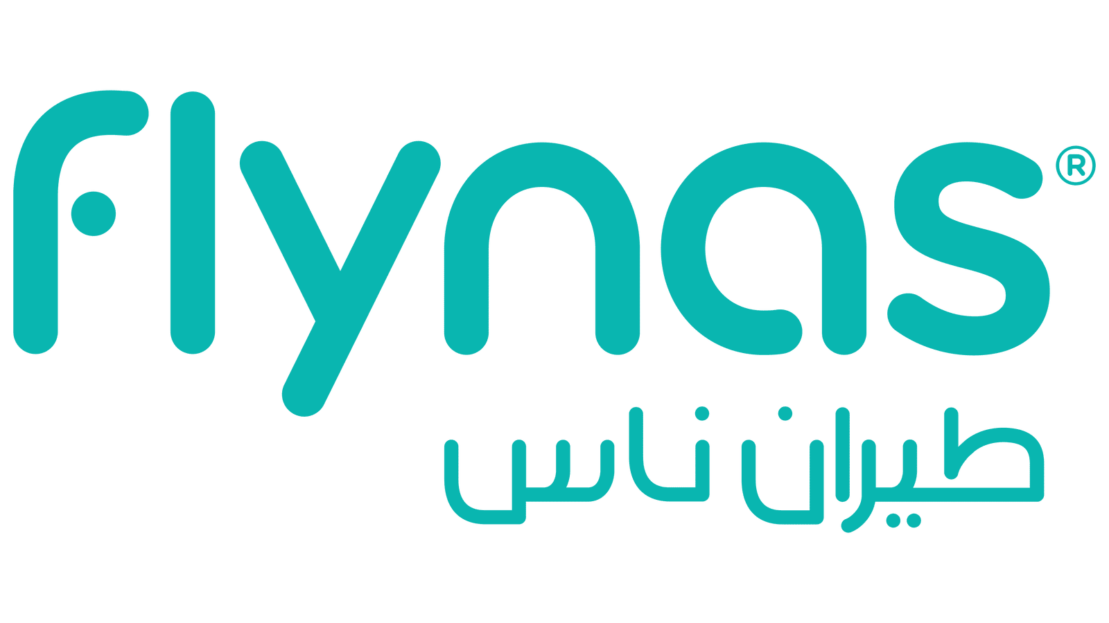 FLY NAS